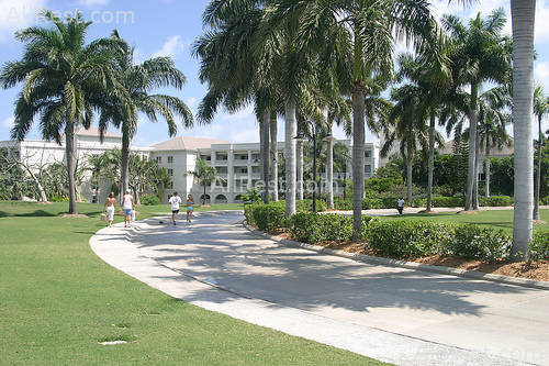 Ritz-Carlton Golf & Spa Resort 11
